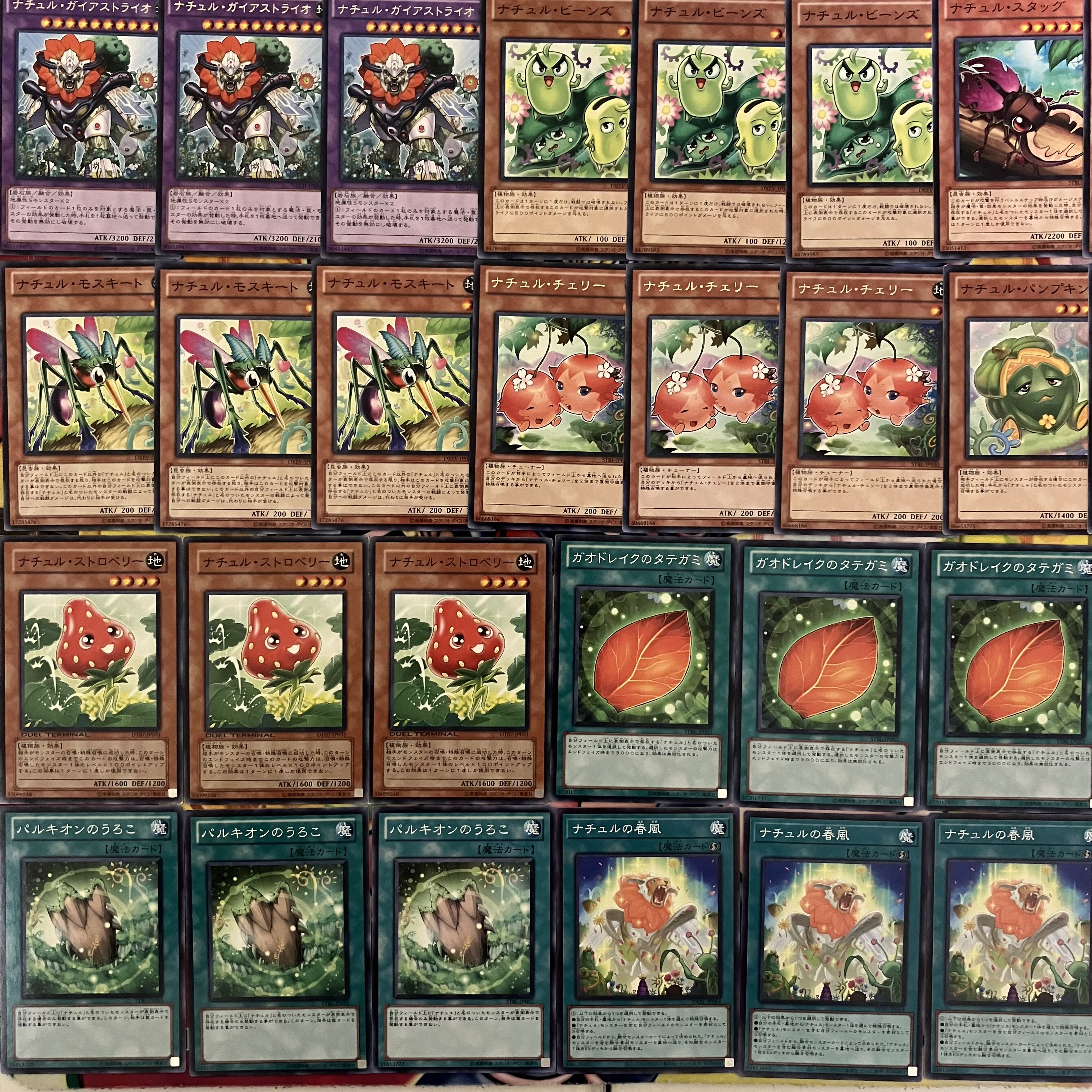 Naturdeck parts Yu-Gi-Oh!