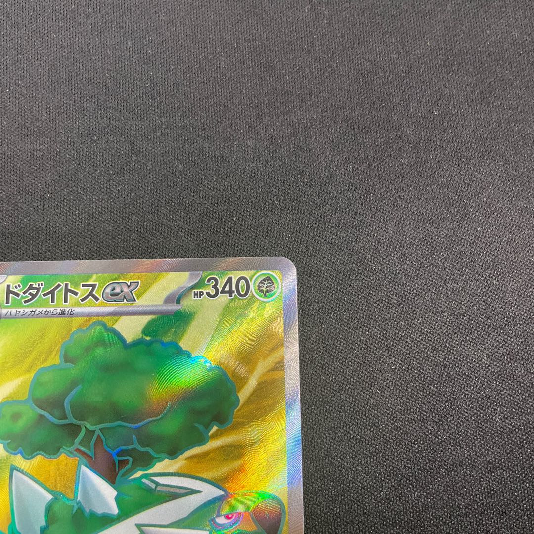 Torterraex SR 084/071 1枚