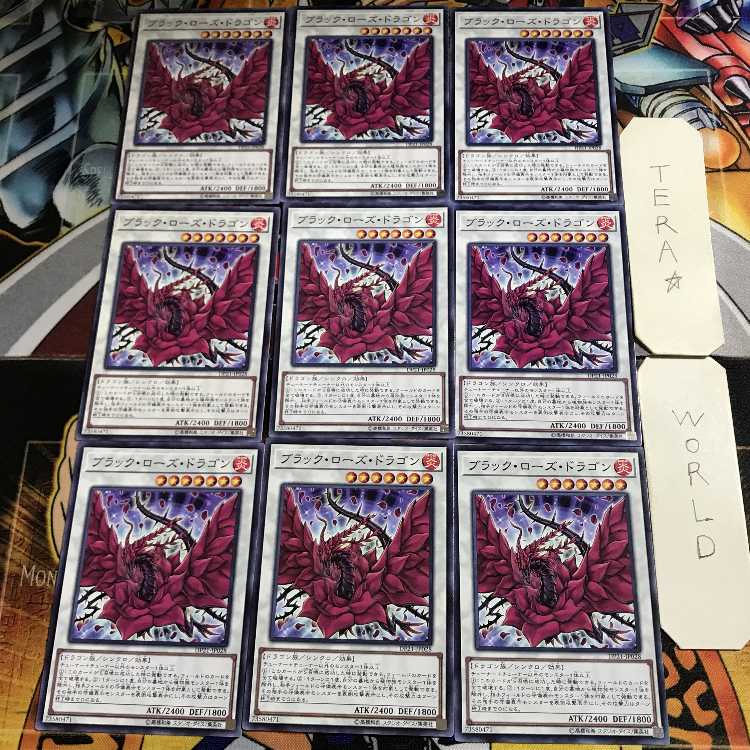 Junk Warrior 1 Normal, set of 9 Tera.