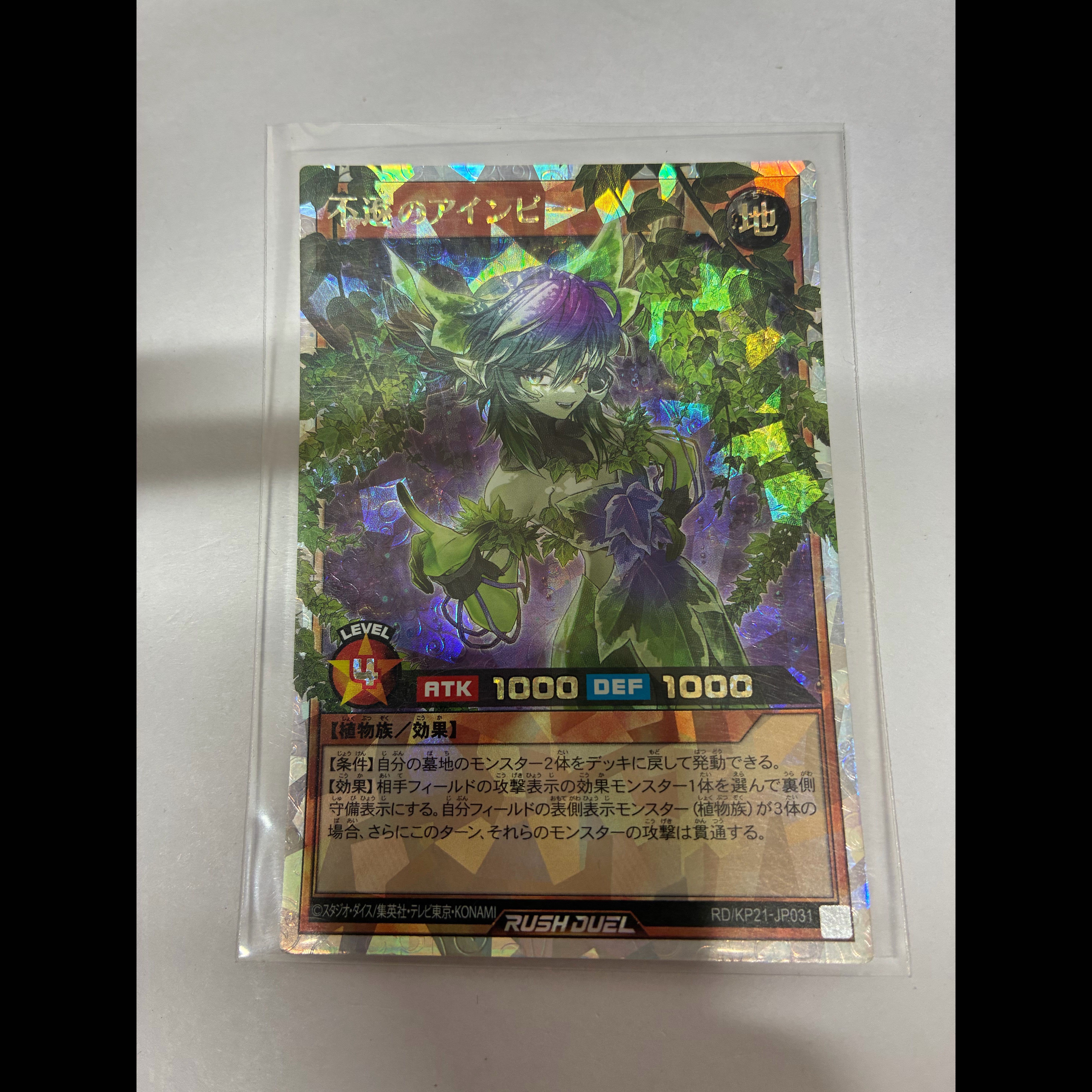 The Insolent Ainbee ORR RD/KP21-JP031 1枚