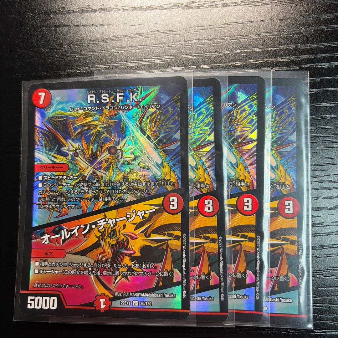 R.S.F.K.｜オールイン・チャージャー VR 30/130 4枚