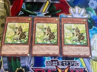 Y-839 Matatabi sengan tanuki normal JP031