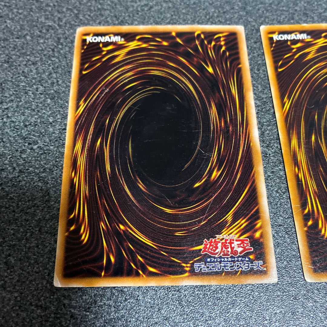 Guillotine stag beetle Giltia the D. Knight No. 11