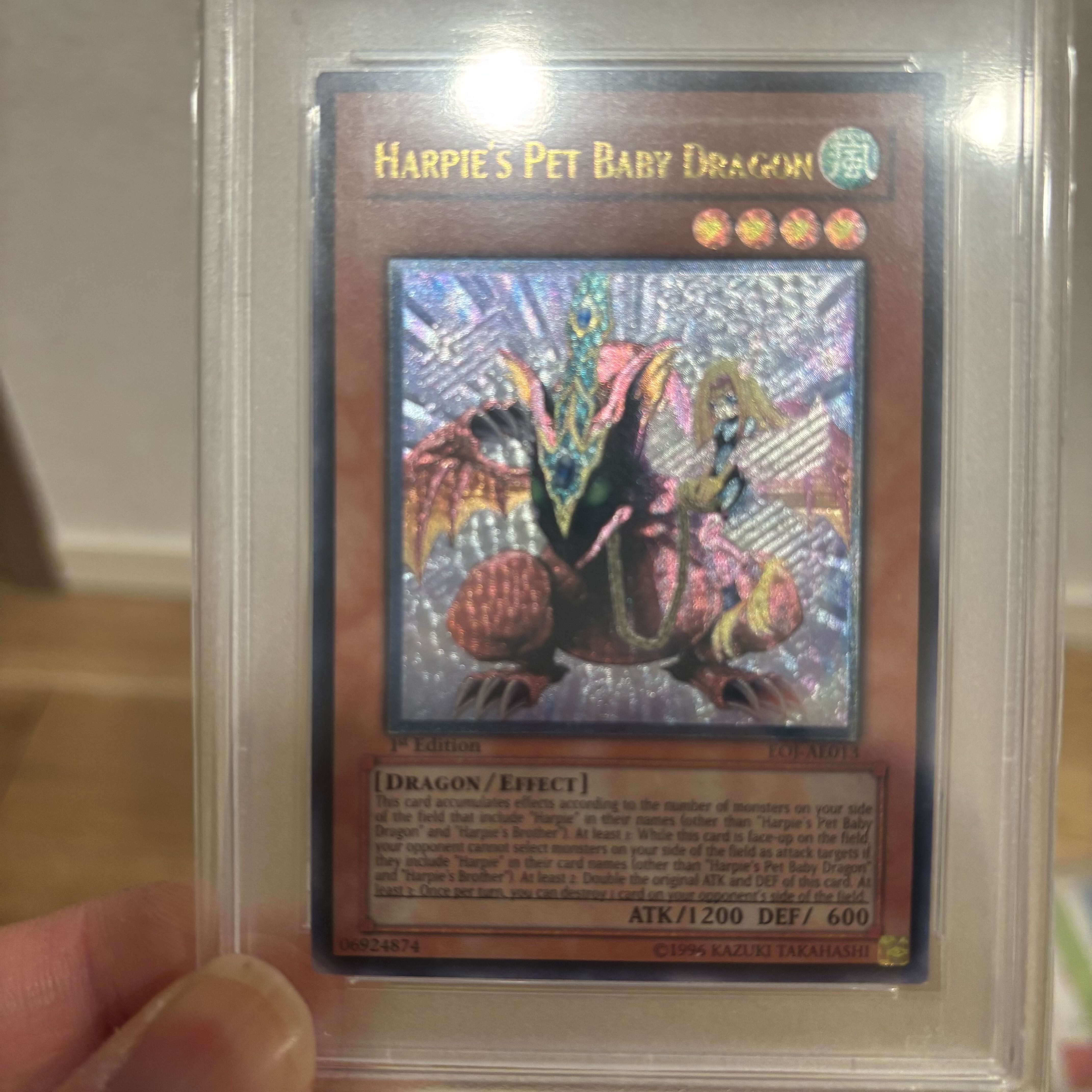 PSA10鑑定済〕☆旧アジア☆ハーピィズペット仔竜【レリーフ PSA10鑑定済〕☆旧アジア☆ハーピィズペット仔竜【レリーフ