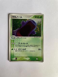 マルノーム 1枚