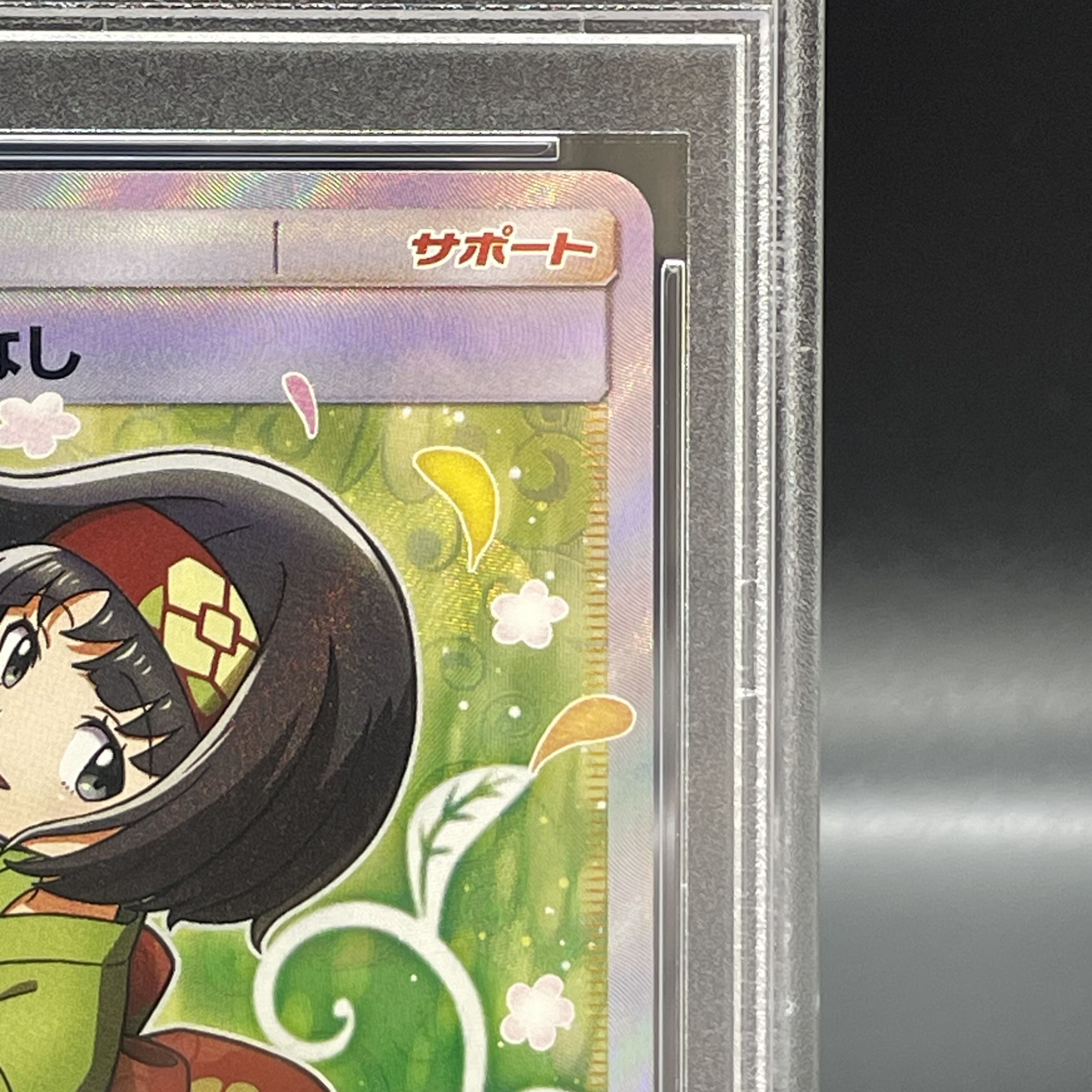 [PSA10] Erika's Hospitality SR 107/095