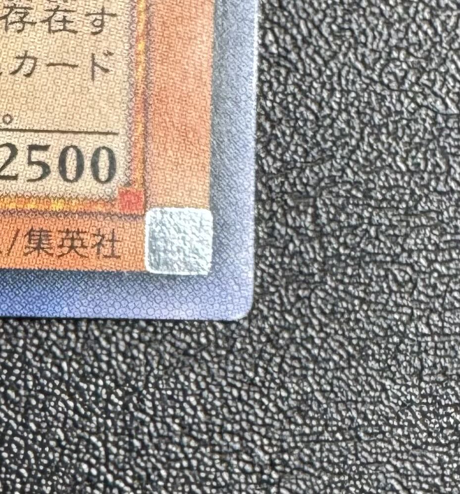 混沌帝龍-カオスエンペラードラゴン/ドラゴン族/ 遊戯王/レリーフ/アルティメットレア  1枚