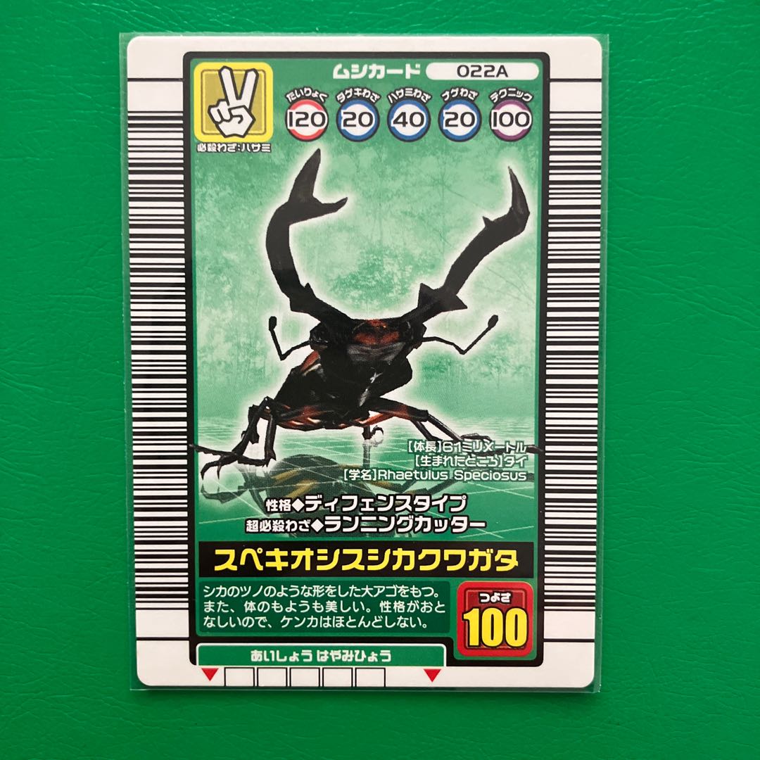 Insect King 2003, 2 speciosis deer stag beetles, rare, hard to find, unused.