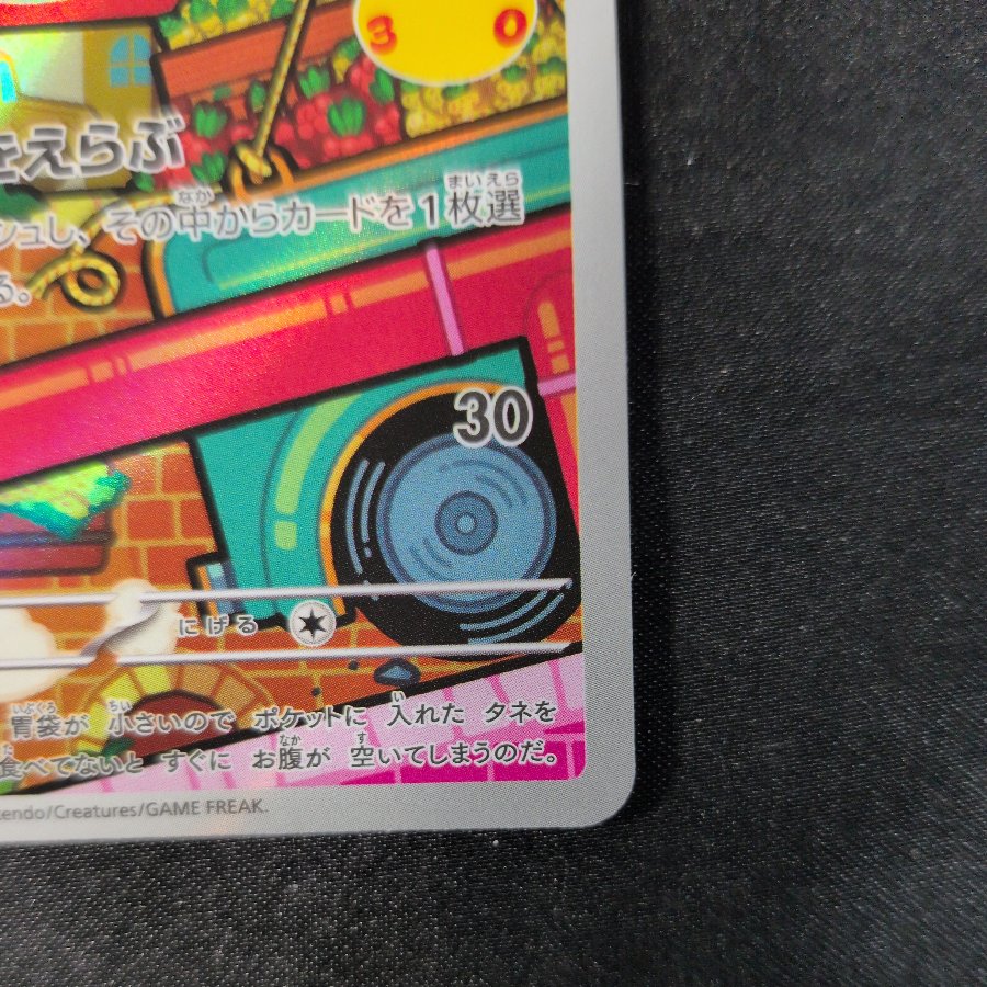 Morpeko AR 110/103 1枚