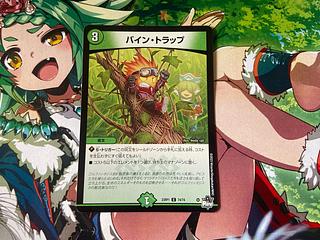 D-64 Bine Trap C 74/74 1枚