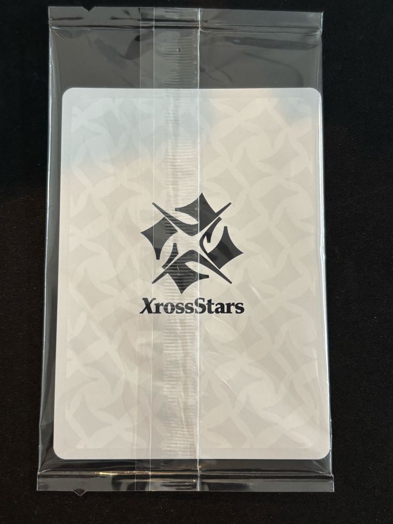 Play Party 2025 PPカード P {PR-019} 1枚