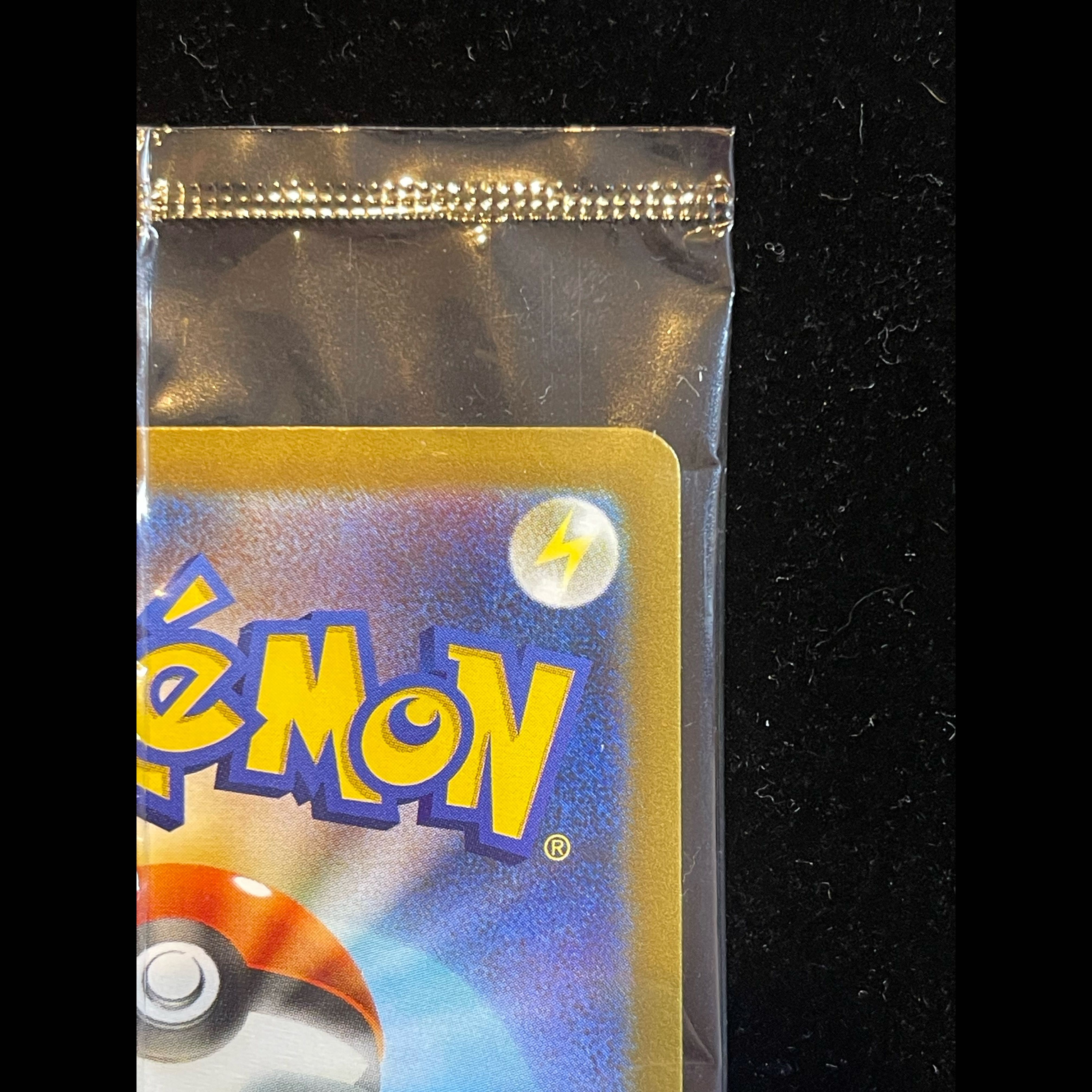 Pikachuex 《FUR Version》 (Promo) {131/M-P}  1枚