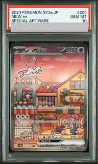 PSA10] Mewex SAR 205/165