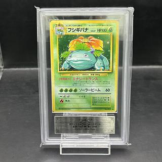 【ARS10】フシギバナ キラ マークあり 旧裏