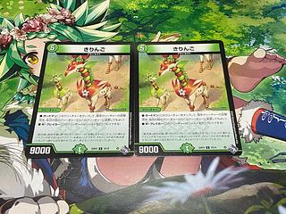 D-104 Ringo C 70/74 2枚