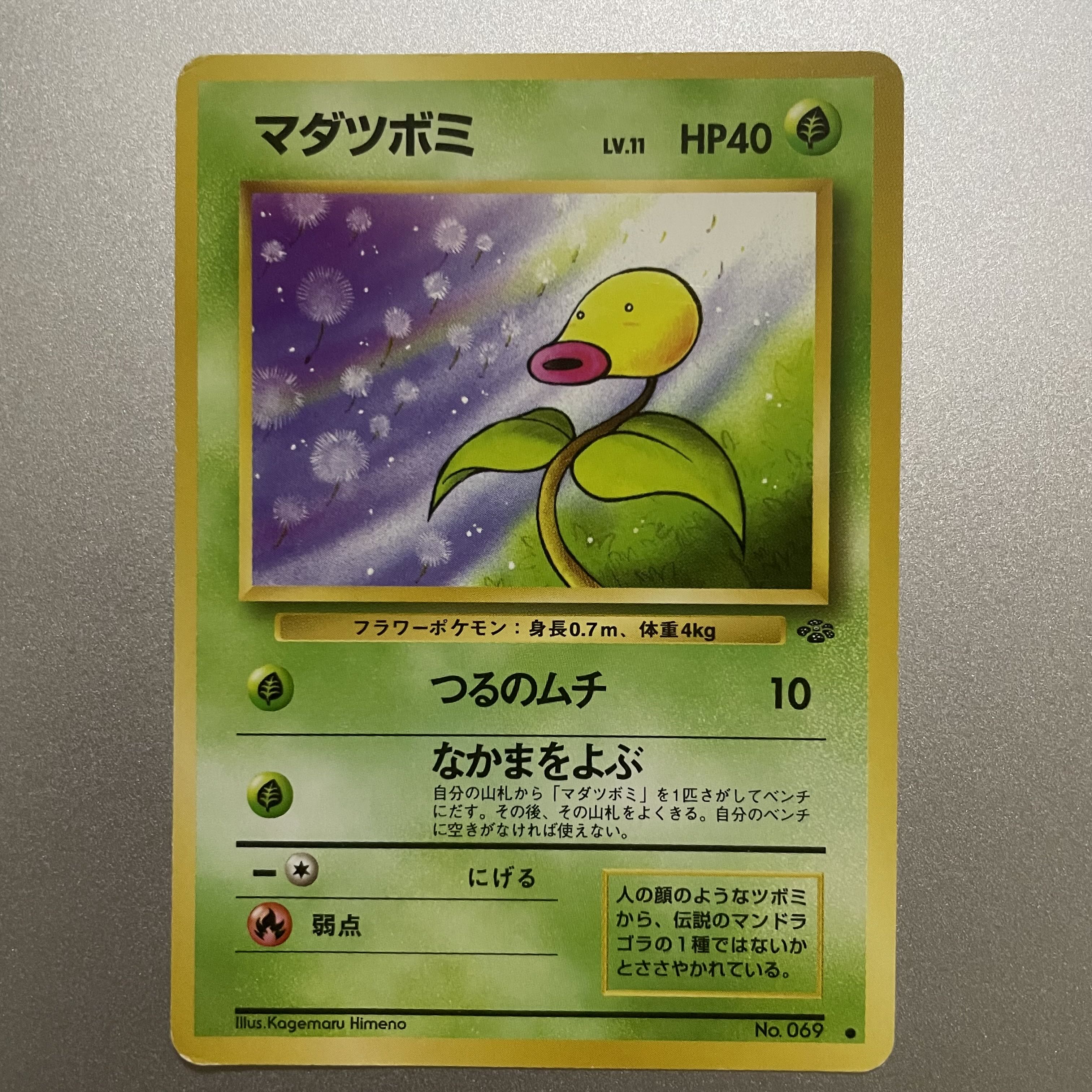 マダツボミ　旧裏 1枚