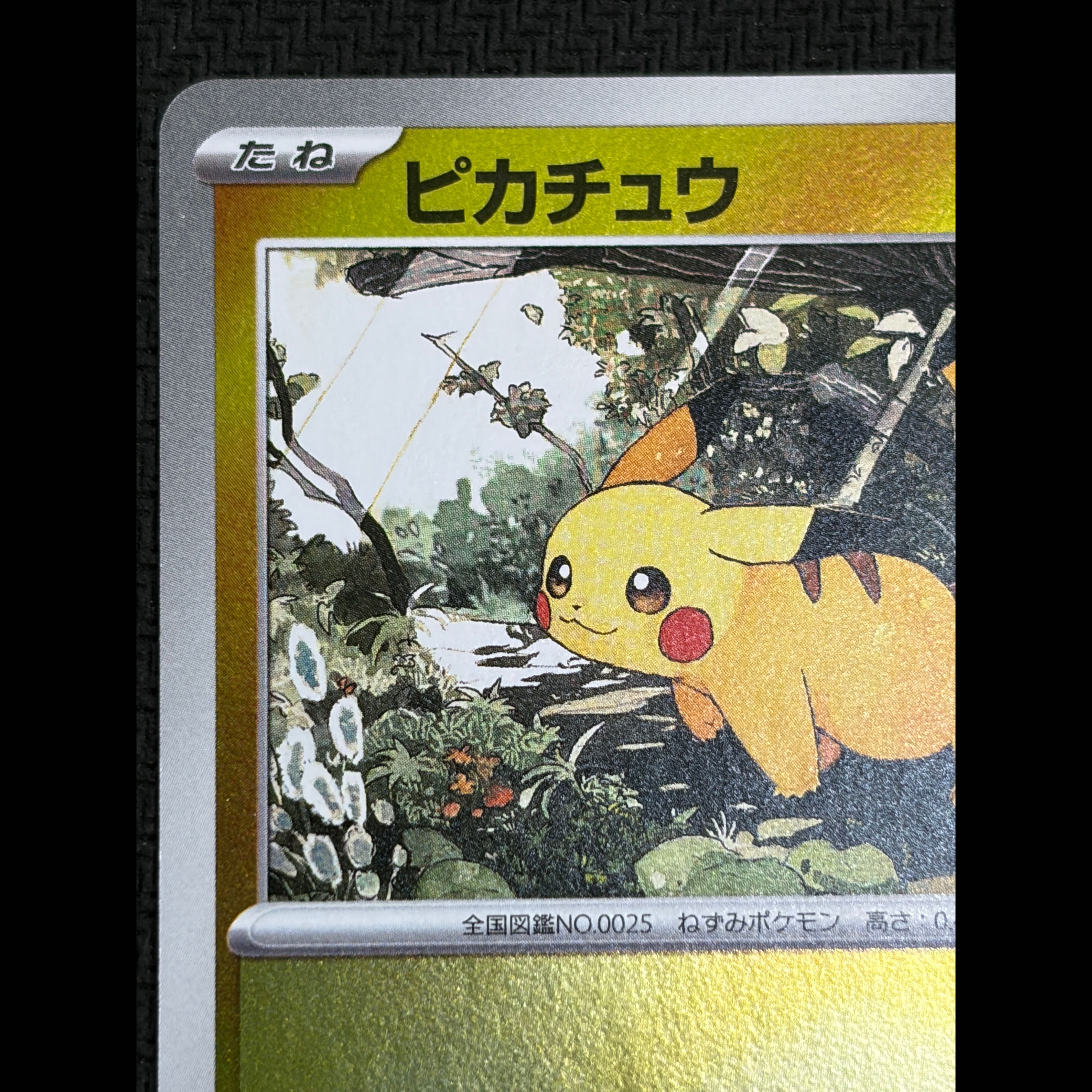 ③ State B Pikachu (Mirror Finish) S-TD 225/742 1枚