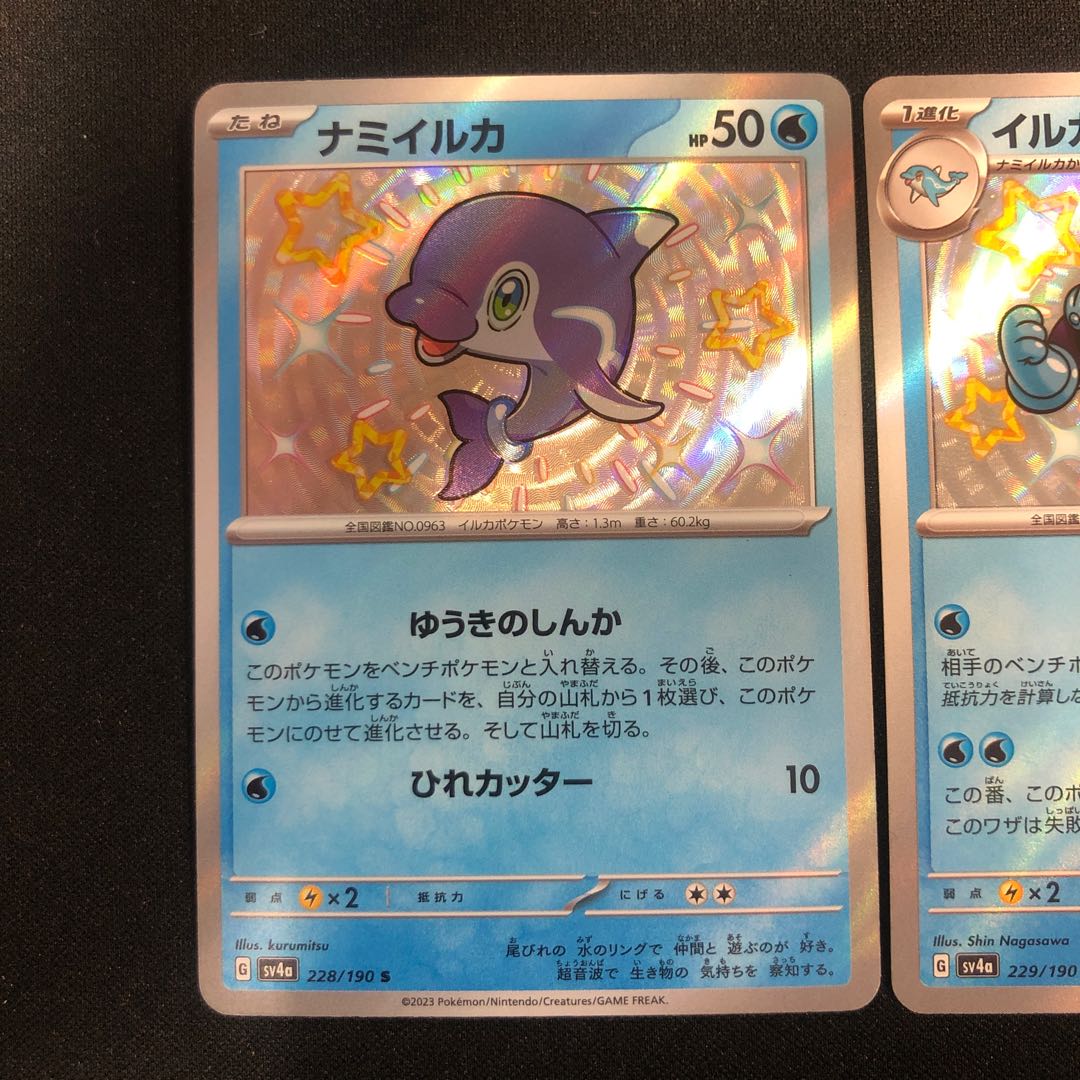 ナミイルカ 228/190 イルカマン 229/190