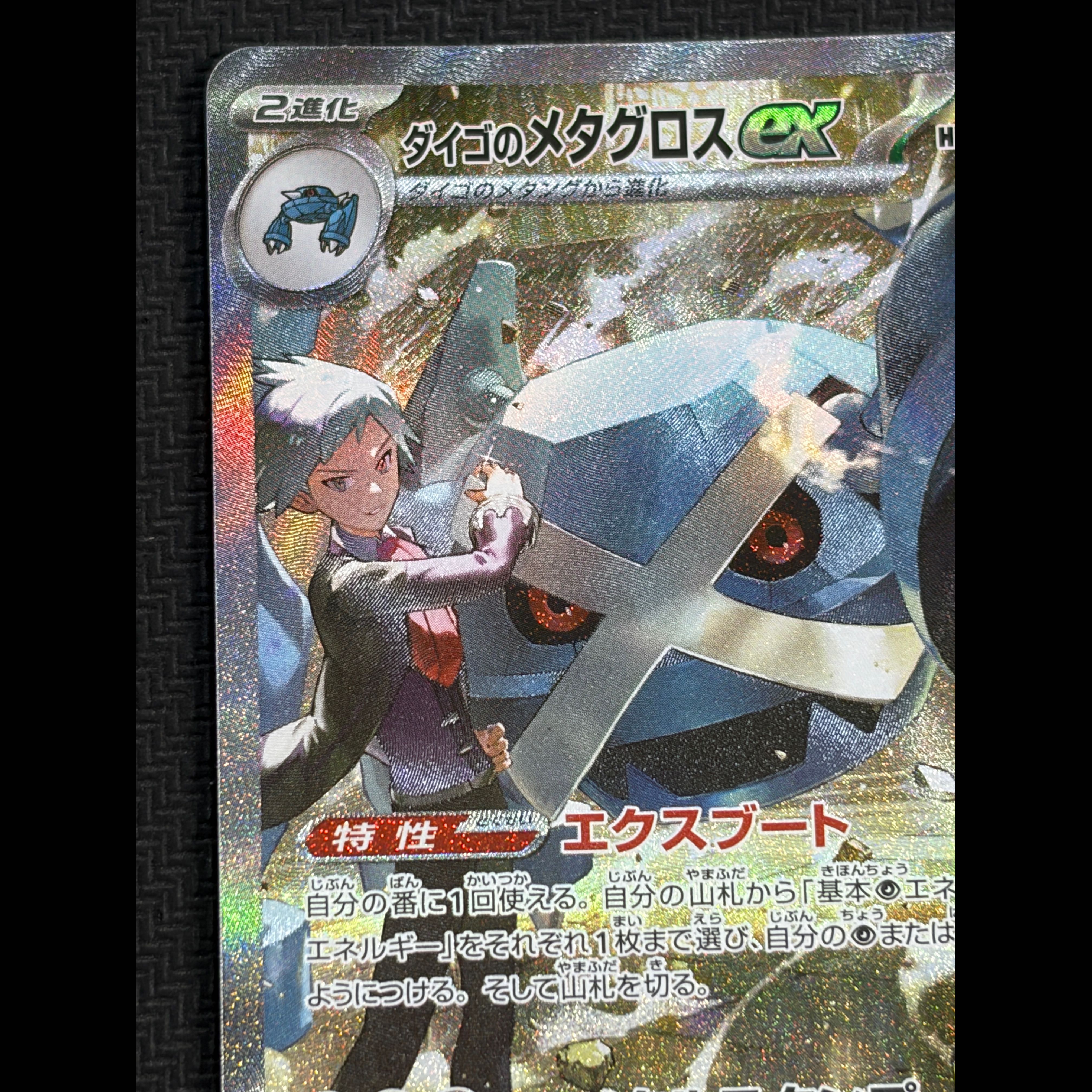 Condition B Steven's Metagross: Special Attack 245 / Special Defense 193 1枚