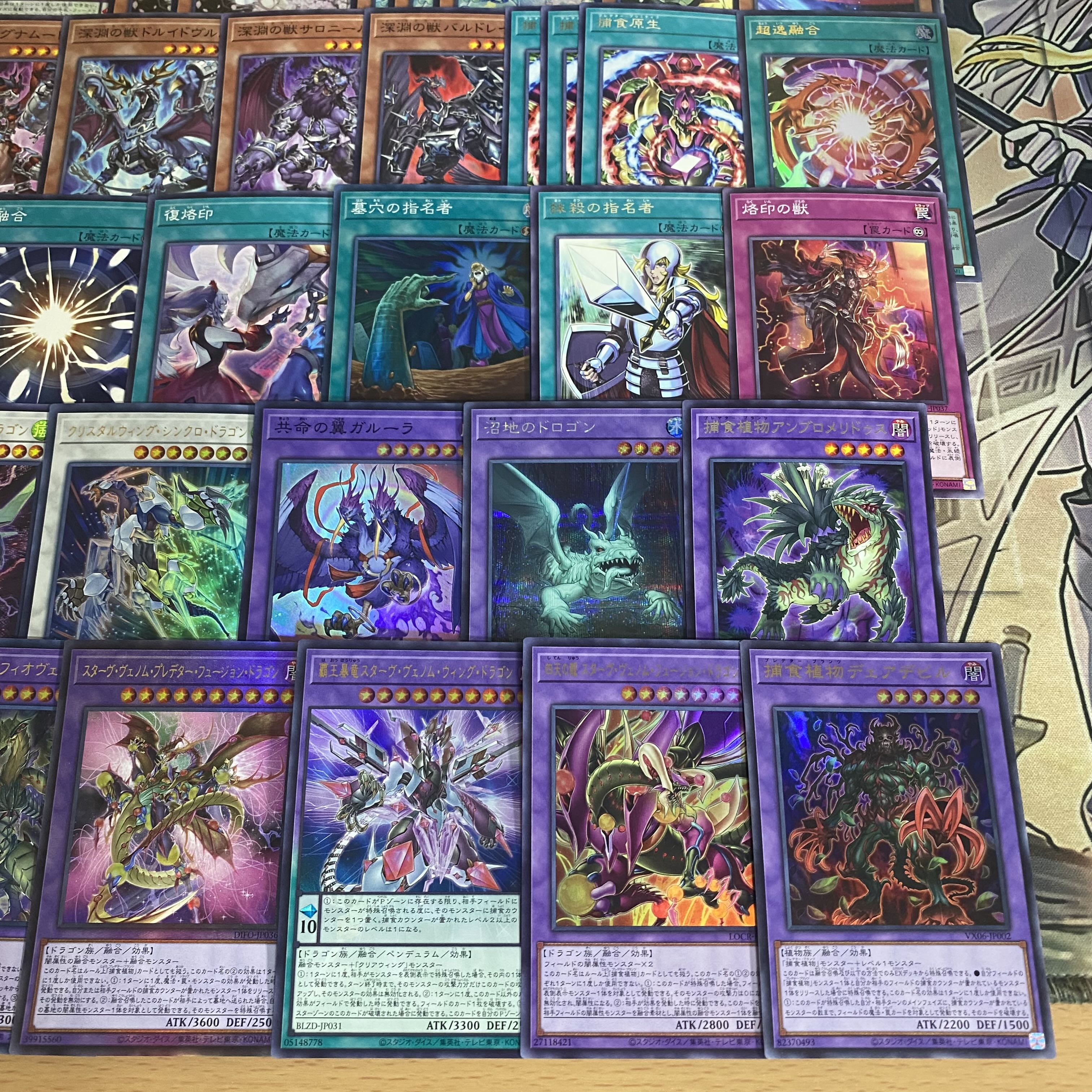 遊戯王 捕食植物 デッキ 本格構築 デェアデビル オフリススコーピオ スターヴヴェノムフュージョンドラゴン 血樹竜姫ドラセレア 1枚