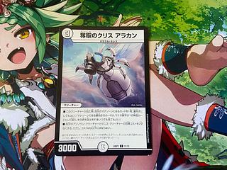 D-22 Desertion Ku Squirrel Arakan C 11/13 1枚