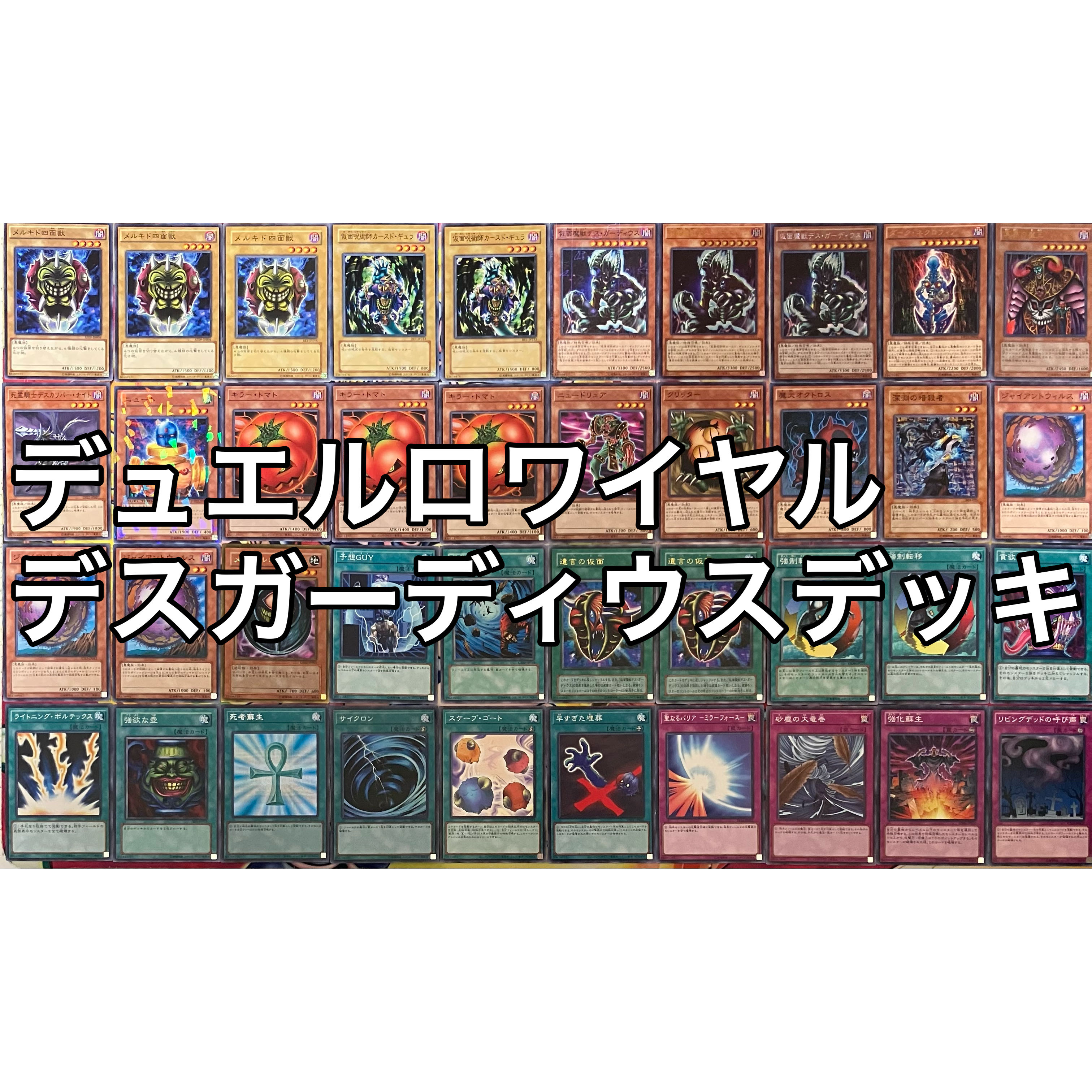 No.1444 デュエルロワイヤル デスガーディウスデッキ 遊戯王 1枚