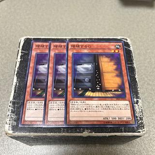 Maxx "C" Normal 3枚