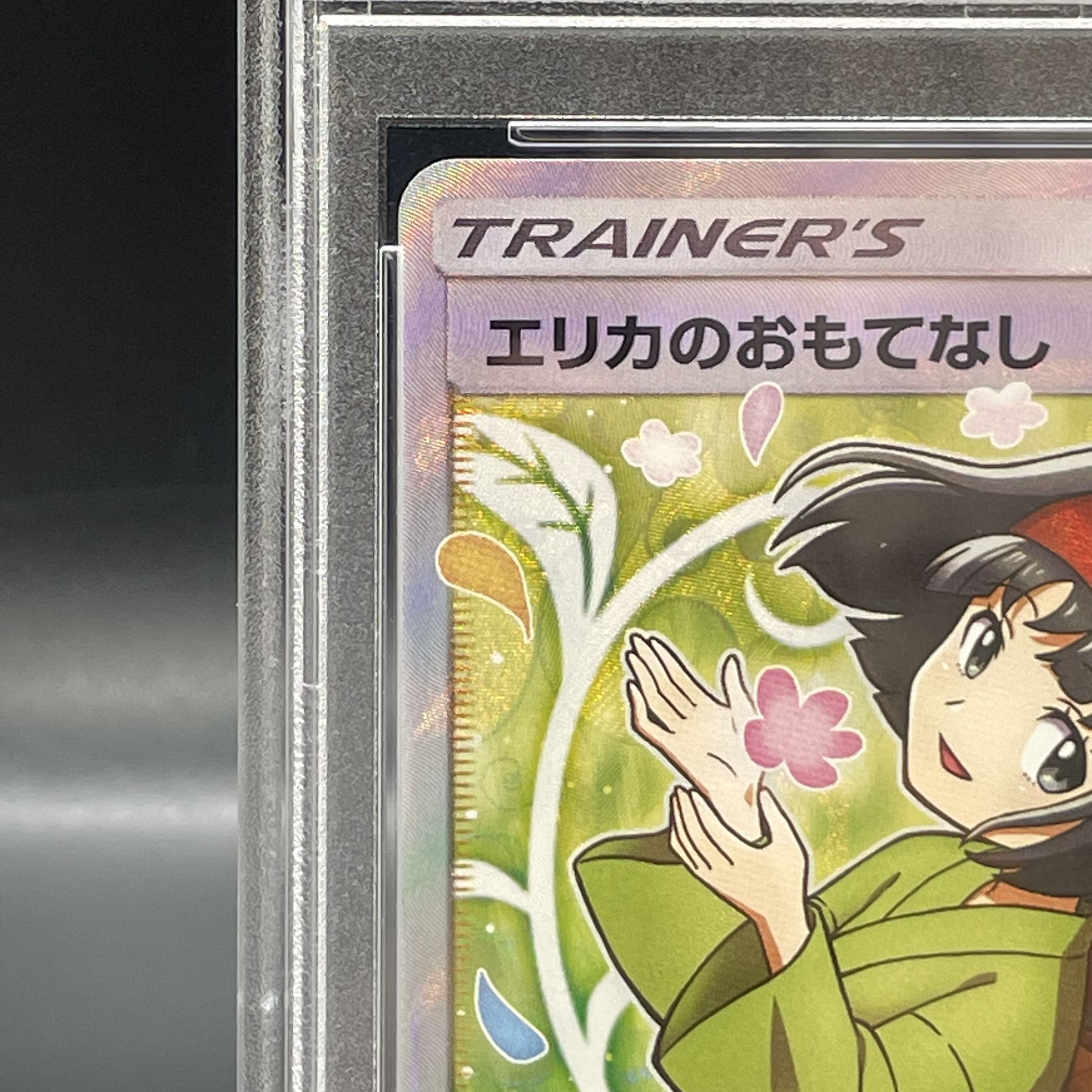 [PSA10] Erika's Hospitality SR 107/095