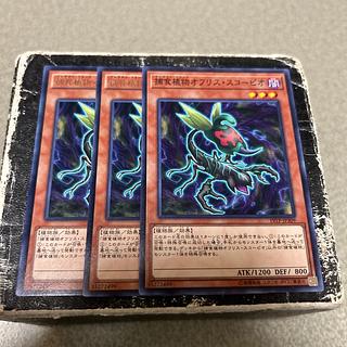 Predaplant Ophrys Scorpio 1 normal, 2 rares 1枚