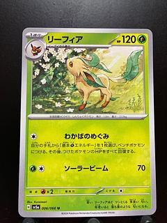 Rakurakudo] Pokeka Leafeon