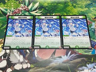 D-224 継走の妖精 C 73/76 3枚