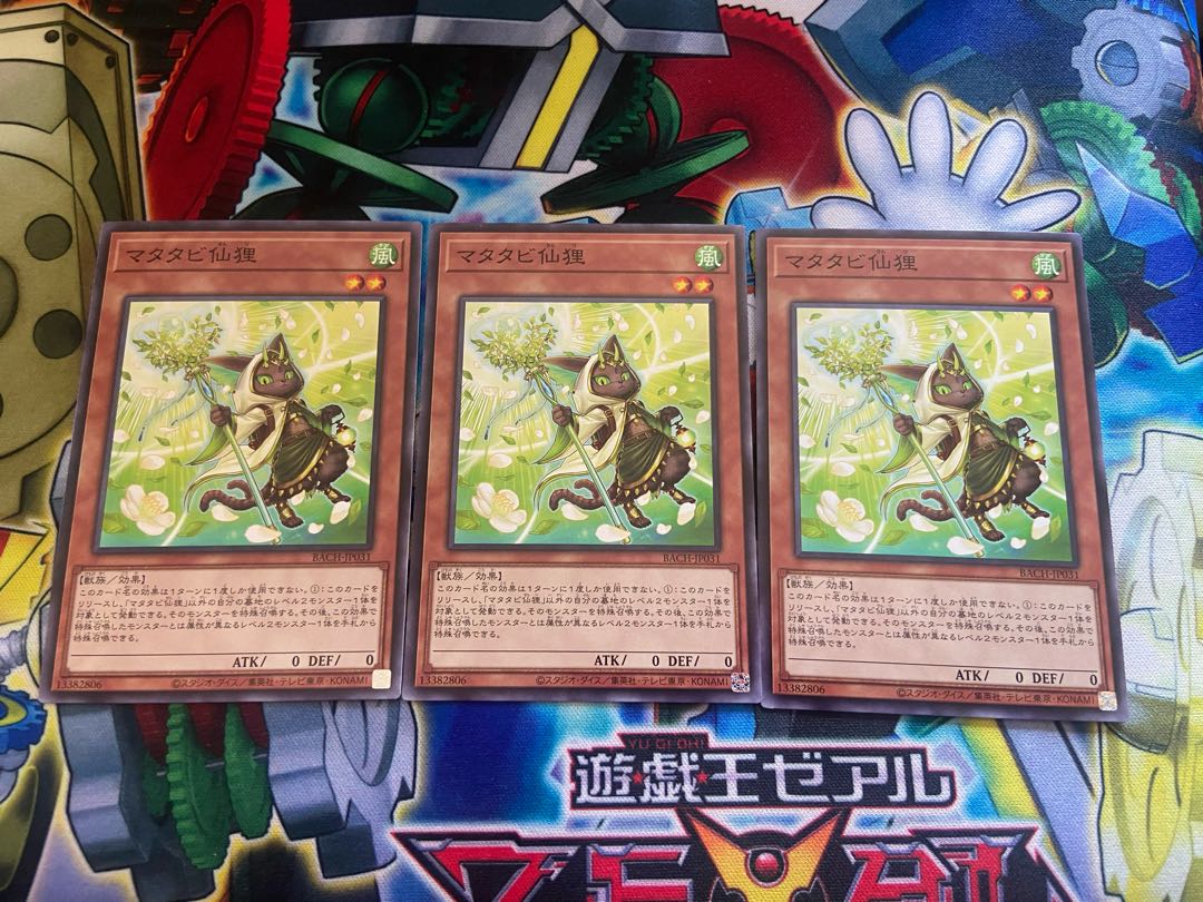 Y-838 Matatabi sengan tanuki normal JP031