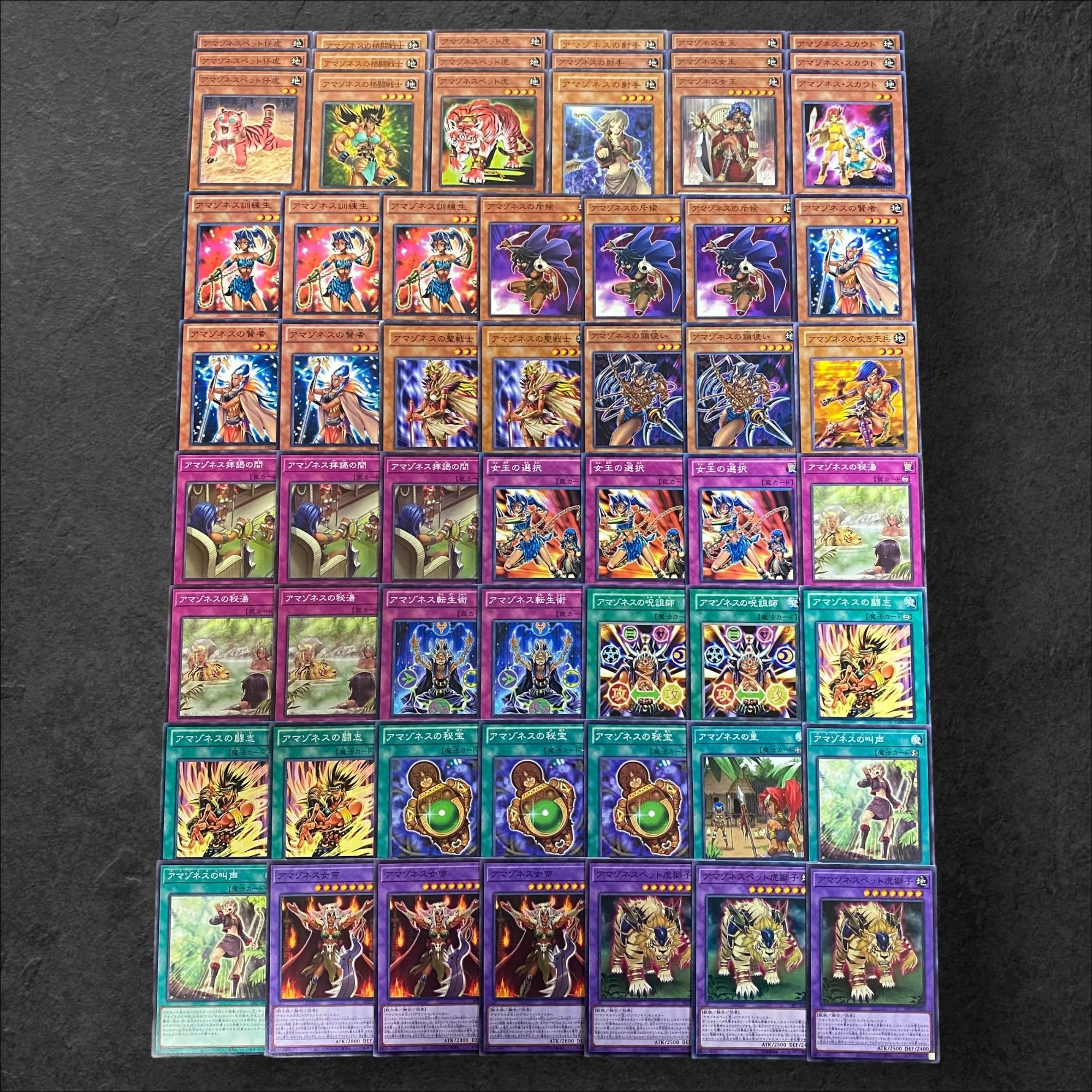 9328【遊戯王】アマゾネス〈デッキパーツ〉60枚セット