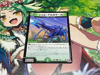 D-116 Shell Alcazar C 74/76 1枚