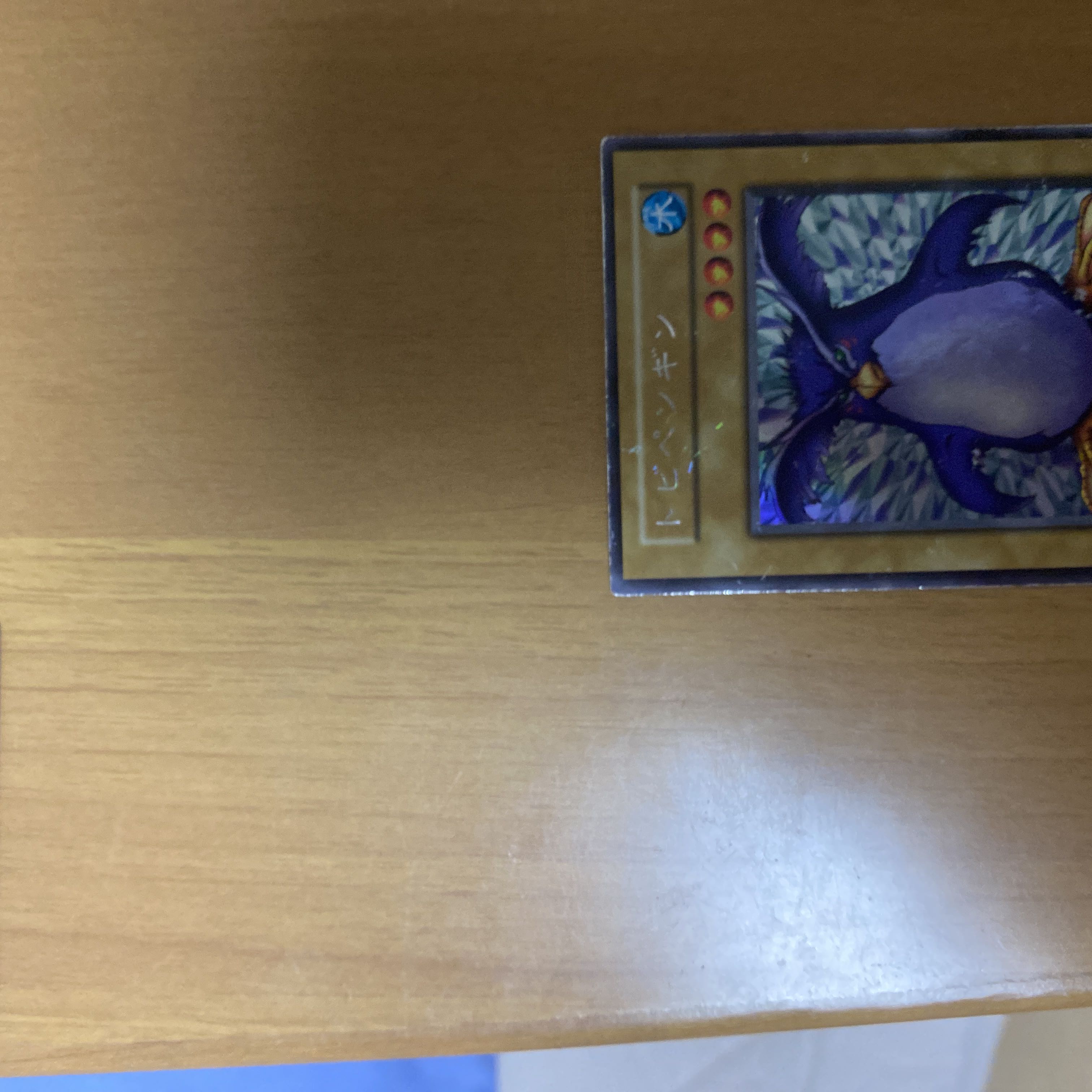 Millennium Shield, Flying Penguin, and Stuffed Animal 3-Piece Set 1枚