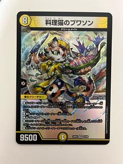 Cooking Cat Puisson VR 16/89