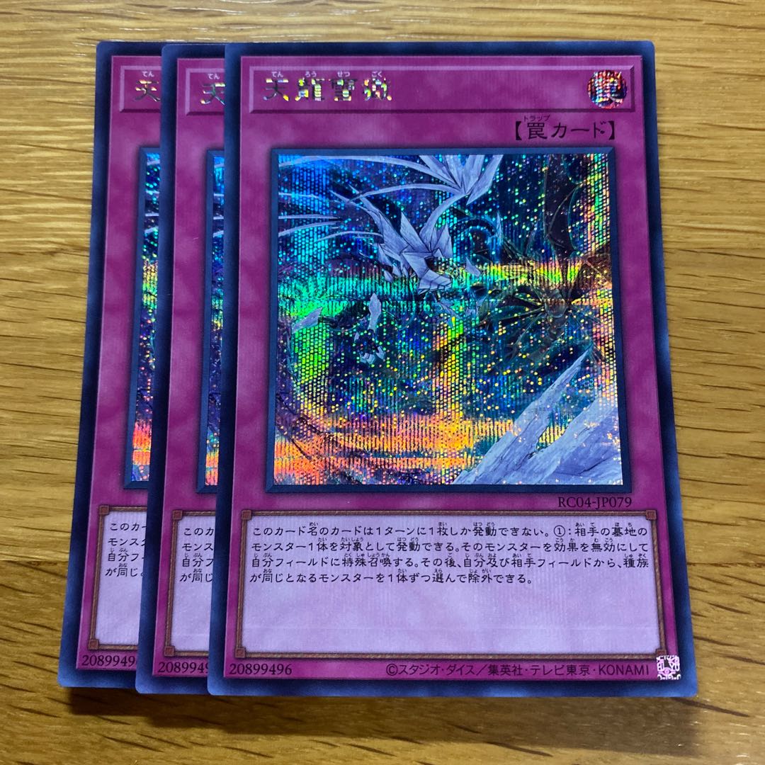 天龍雪獄 シークレットレア JP079 1枚