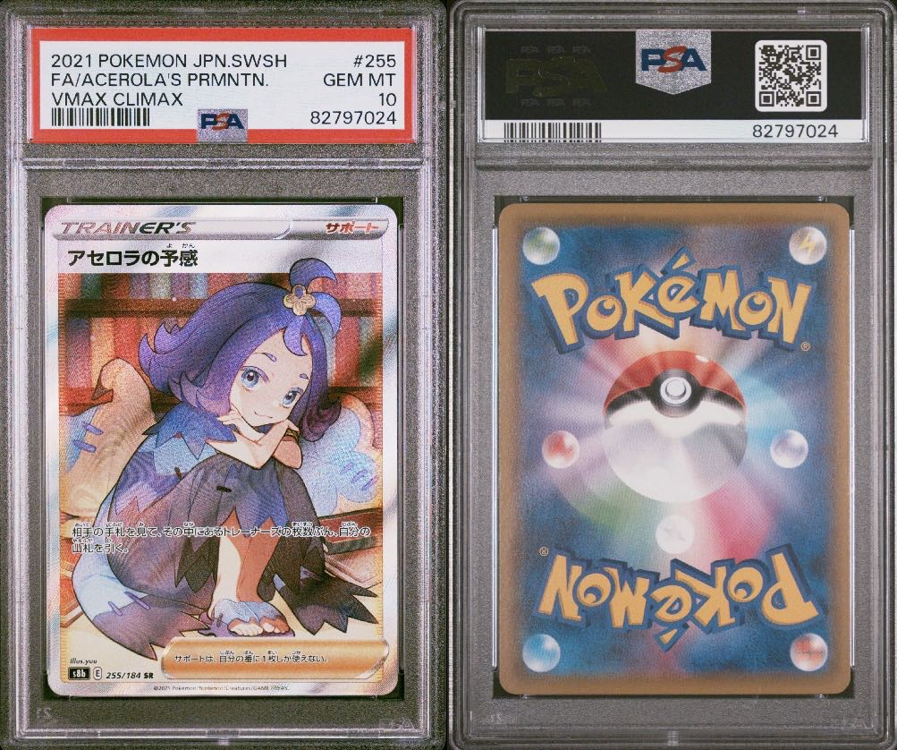 アセロラの予感 フレームセット SR 255/184 アセロラの予感【SR】{255/184}