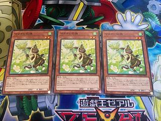 Y-836 Matatabi sengan tanuki normal JP031