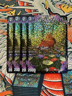 Lupia & Ga: Nateja P13/Y24