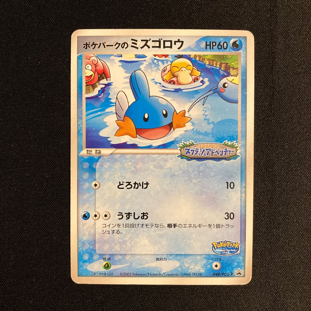 h155 ポケパークのミズゴロウ 048/PCG-P プロモ ミズゴロウのスプラッシュアドベンチャー ポケモン トレトレ 1枚