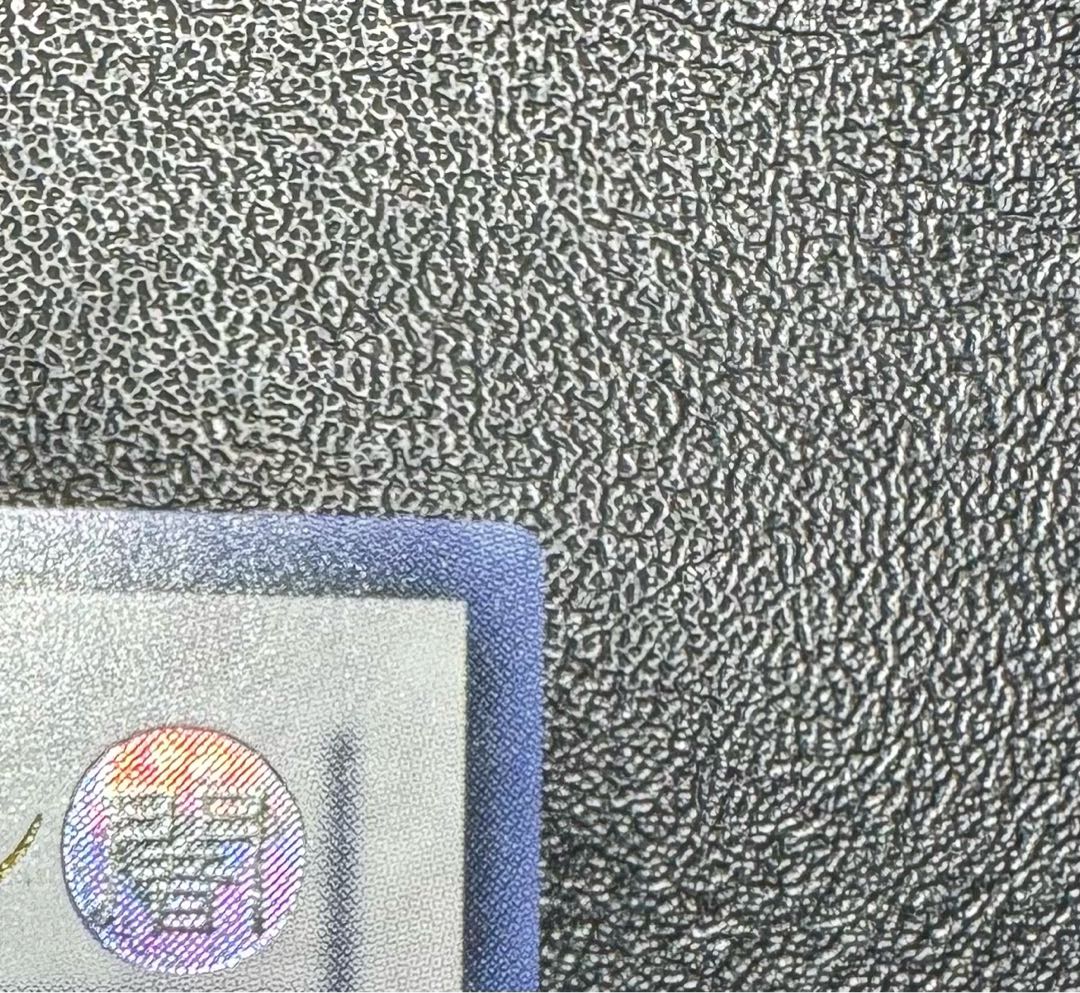 セイヴァーデモンドラゴン/ドラゴン族/シンクロ/遊戯王カード/レリーフ 1枚