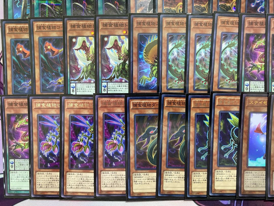 24時間以内発送】遊戯王 烙印捕食植物(プレデタープランツ 24時間以内発送】遊戯王 烙印捕食植物(プレデタープランツ