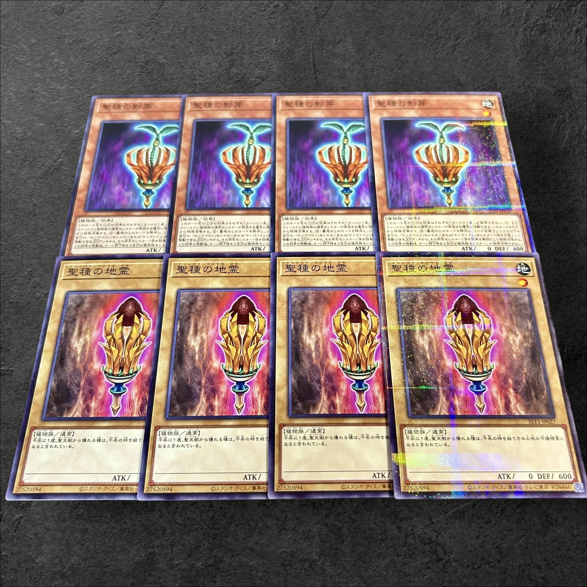 a801【遊戯王】聖種の影芽　聖種の地霊　各4枚8枚セット