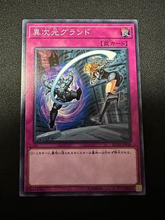 異次元グランド ノーマル JP040 1枚