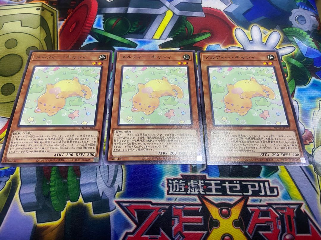 Y-761 Melffy Catty Normal JP018