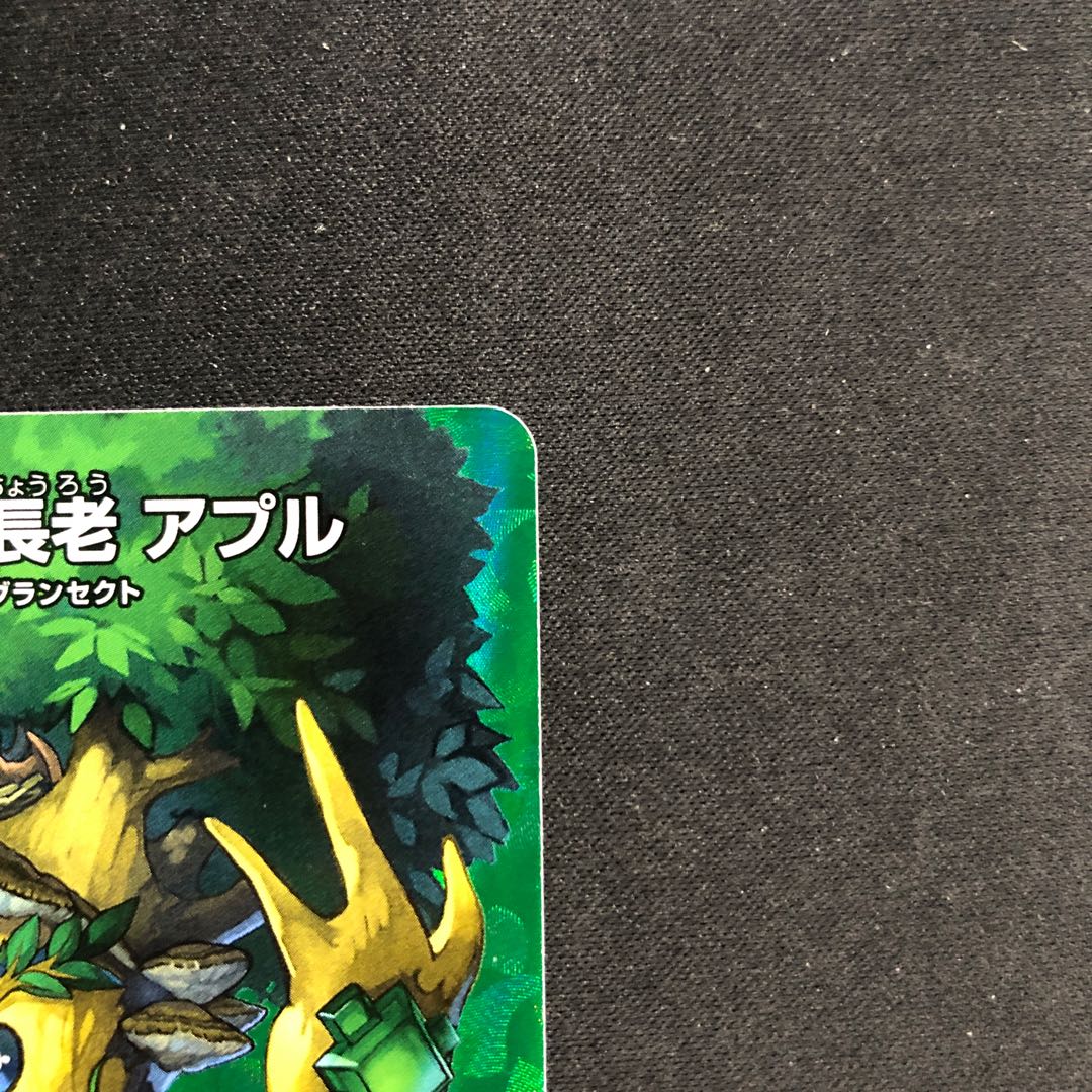 若き大長老 アプル U-foil 超31/超38