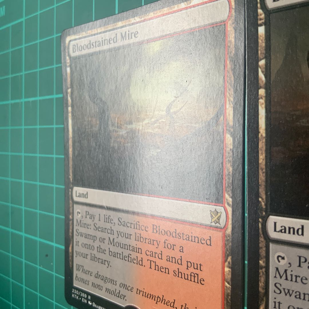 MTG Bloodstained Mire 2 copies Magic the Gathering