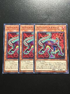 遊戯王スタジオ 3枚 エヴォルド・メガキレラ ノーマル JP020