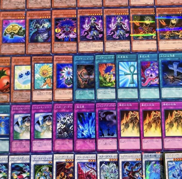 遊戯王【1103環境！！】植物レプティレスデッキ４０枚 1枚